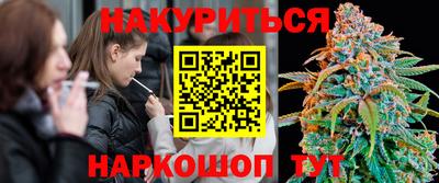 стафф Краснодар