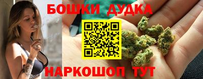 индика Краснокаменск