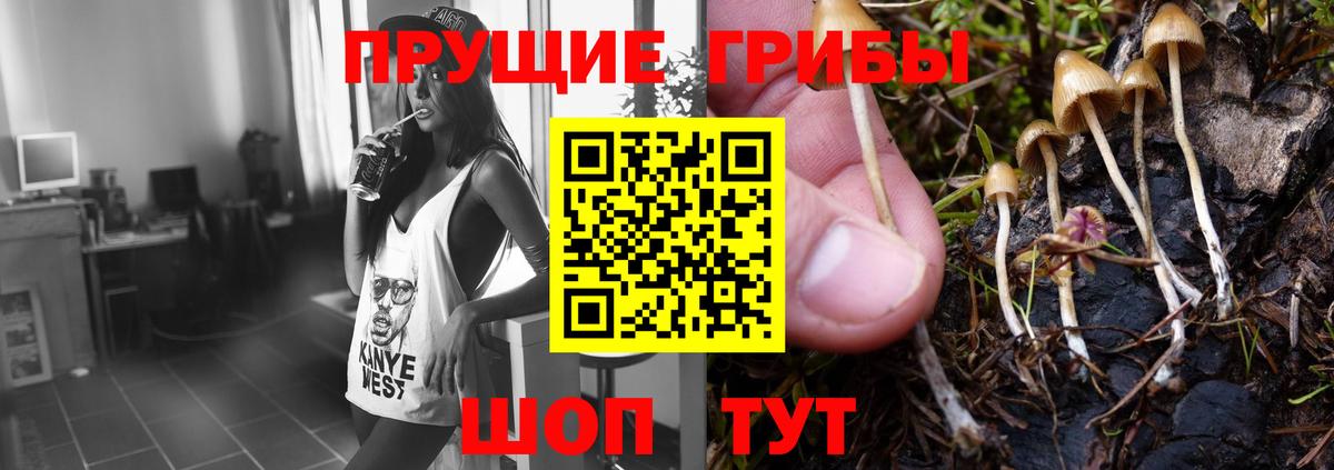 Галлюциногенные грибы Magic Shrooms  Галлюциногенные грибы Magic Shrooms  Котлас  Вход с VPN 
